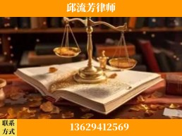 瑞丽-委托诉讼代理人出庭